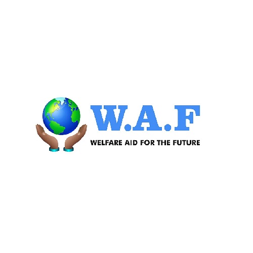 Web Spectron | Welfare Aid for the Future, W.A.F | Cameroon, Cameroun