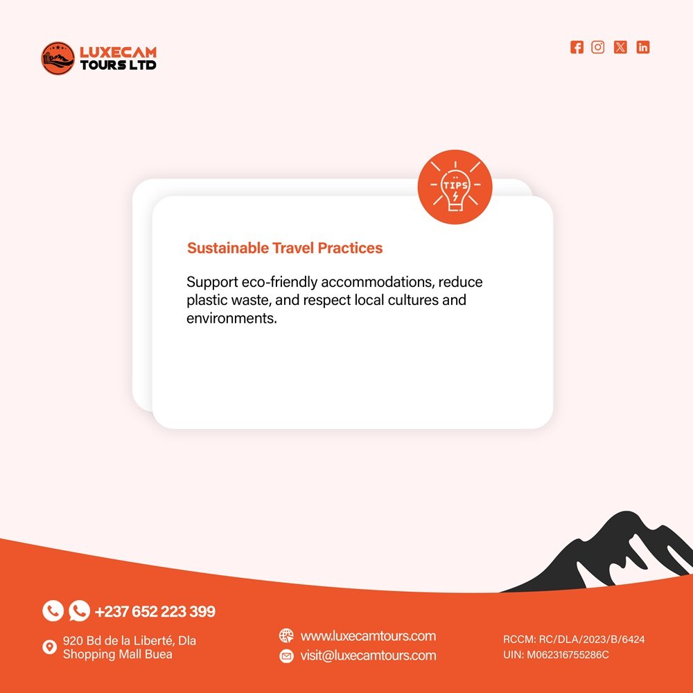 Luxecam Tours Limited | Web Spectron