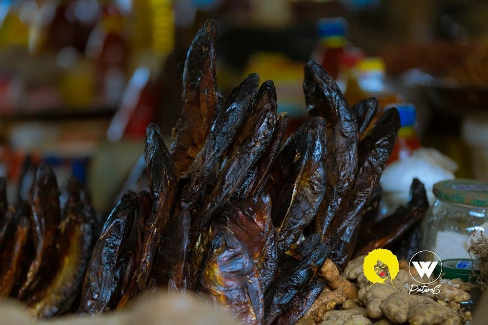 W Pictures Studios | Web Spectron