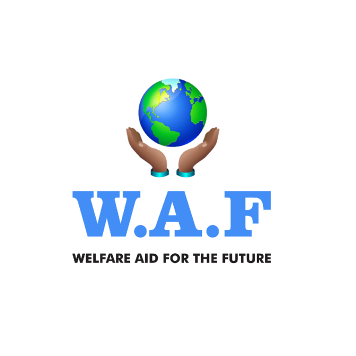 W.A.F 2.0 Website & Re-Brand Completion with Webspectron Agency
