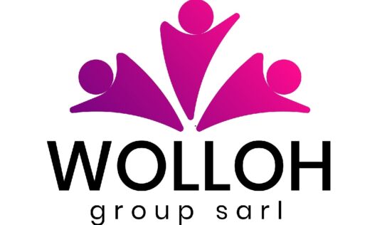 Brand Design, Webdesign & Dev, Digital Strategy Consulting, Wolloh Group (W.G) with Webspectron